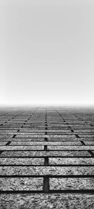 Brick pathway receding into fog