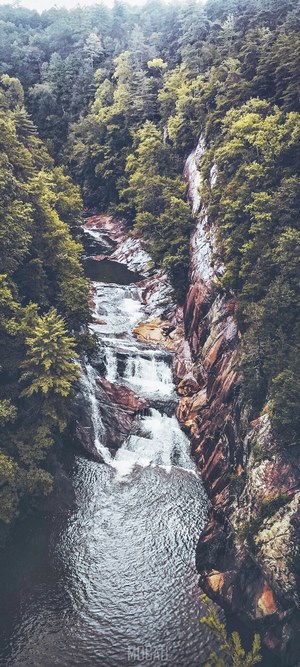 Waterfall cascading through a forest gorge