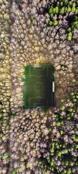 Aerial view of a soccer field surrounded by trees