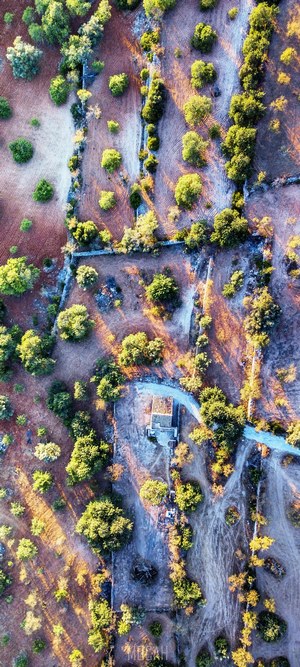 Aerial view of a rural landscape with trees and a building