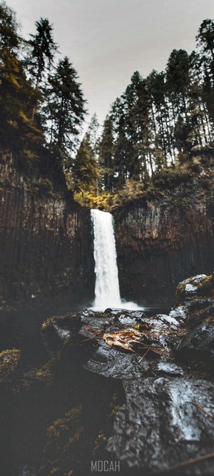 Waterfall in a forest