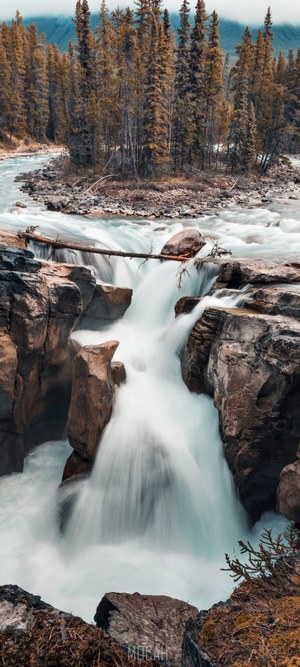 Waterfall flowing through a rocky canyon with trees