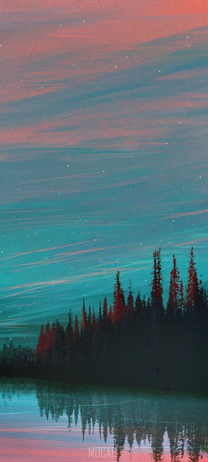 Night sky over a forest and lake