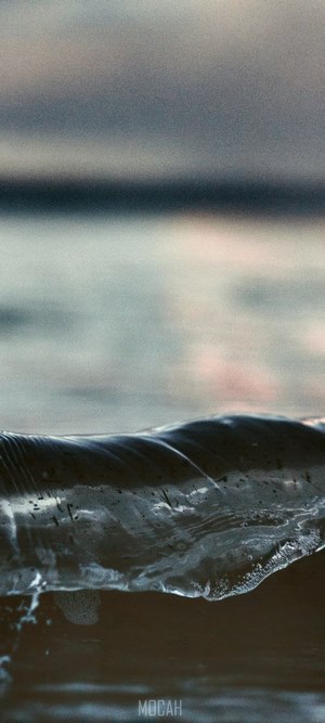 Wave at Kohimarama Sunset