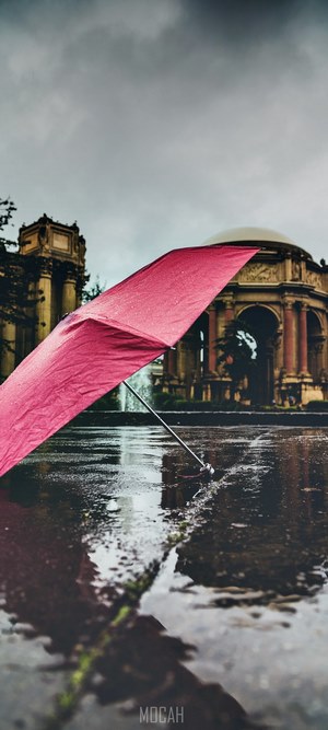 Pink umbrella on wet ground with building and fountain