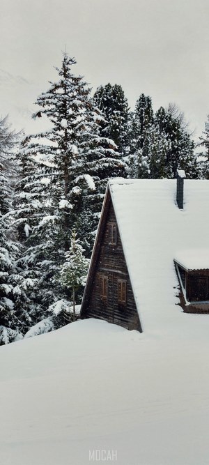 Snow covered cabin in a winter forest