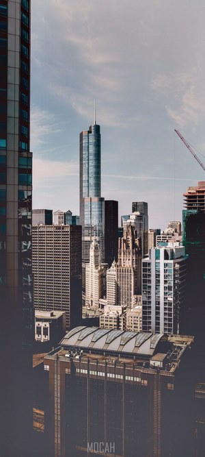 Cityscape with skyscrapers and cranes