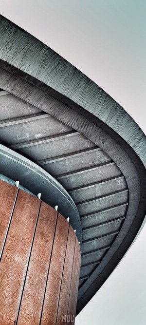 Curved architecture with concrete and wood elements