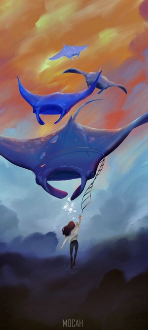 Manta Rays and a Girl in the Sky