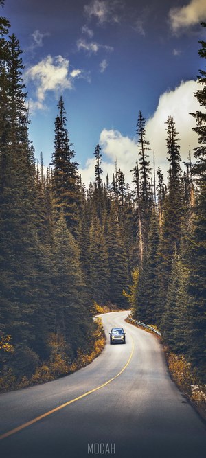 Car driving on a winding road through a forest