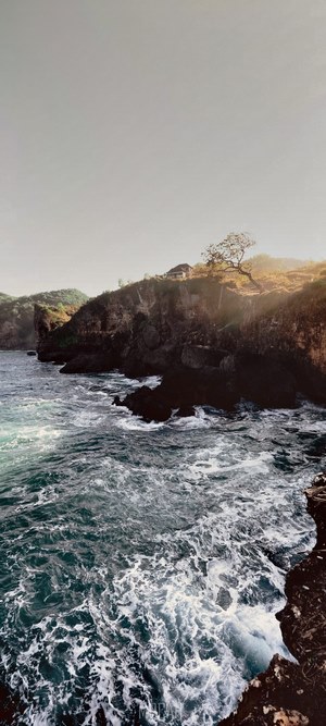 Rocky coastline with waves crashing and a tree on a cliff