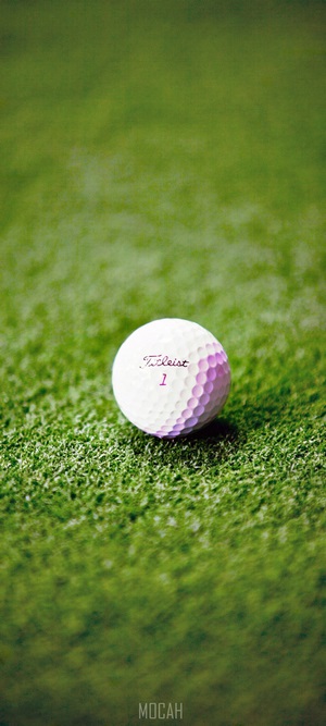 Titleist golf ball with number 1 on green grass