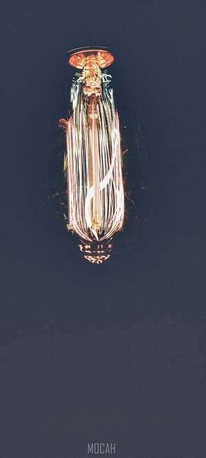 Edison light bulb filament close-up