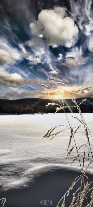Sunlight over snowy landscape with dry grass