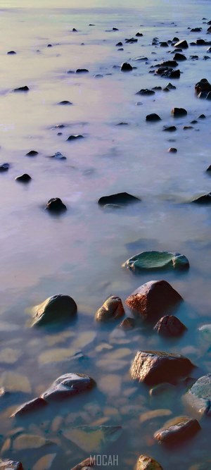 Rocks in misty water at dusk