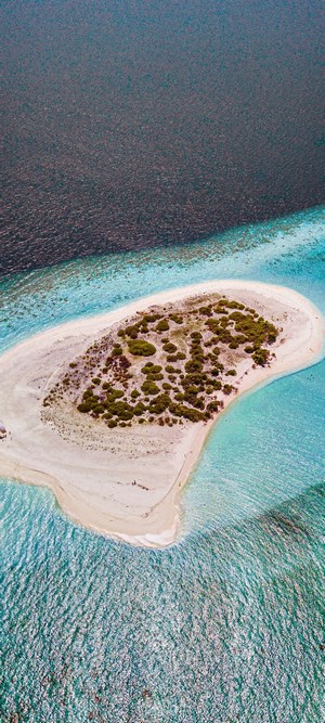 Aerial view of a small island with vegetation surrounded by turquoise water