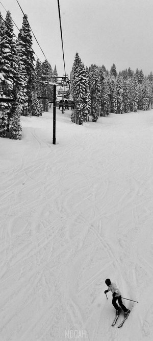 Ski lift over snowy trees with skier