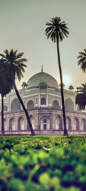 Humayun's Tomb with palm trees