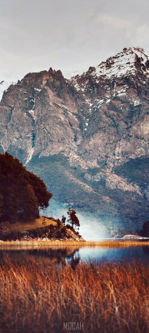 Snow-capped mountains over a lake with reeds