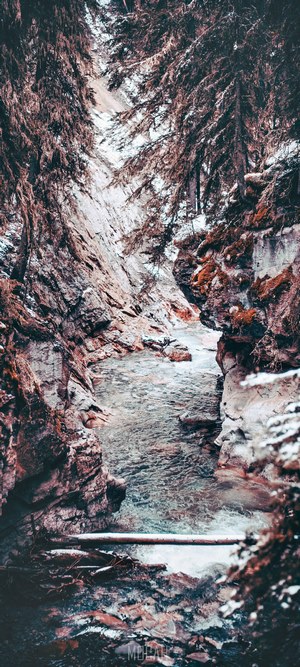 Winter forest canyon with river