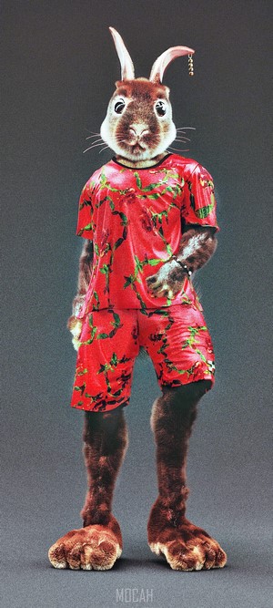 Anthropomorphic rabbit wearing a red floral outfit