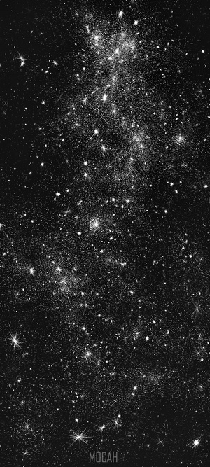 Stars in the Universe