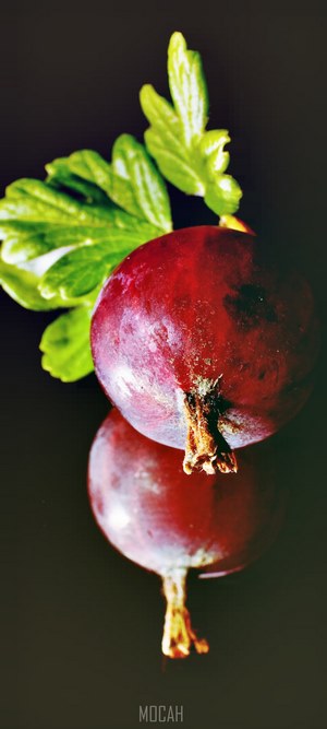 Close-up of red gooseberries with green leaves