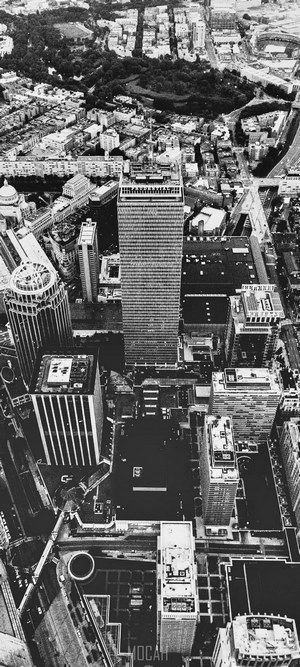 Aerial view of Boston skyscrapers and park