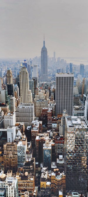 Empire State Building and New York City Skyline