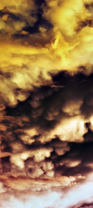 Mammatus clouds at sunset