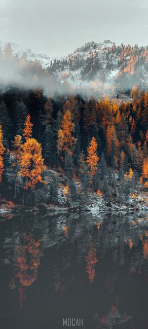Autumn forest reflected in a lake with snowy mountains