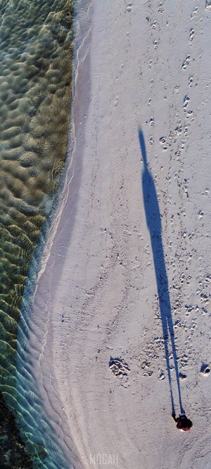 Person walking on a sandy beach with long shadow
