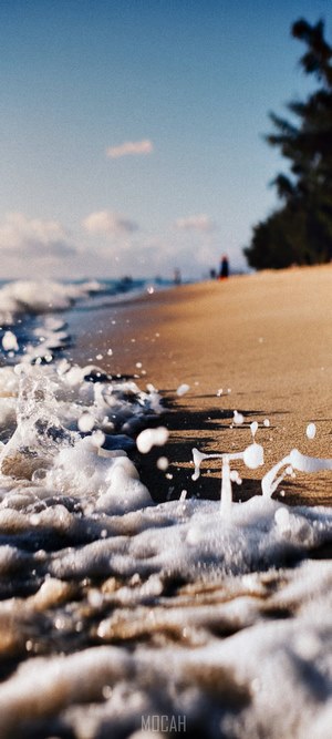 Beach waves and sand with a tree