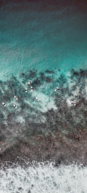 Surfers waiting for waves in turquoise ocean
