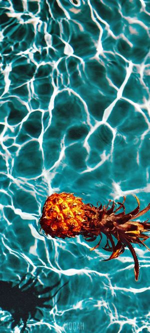 Pineapple floating in blue water with light reflections