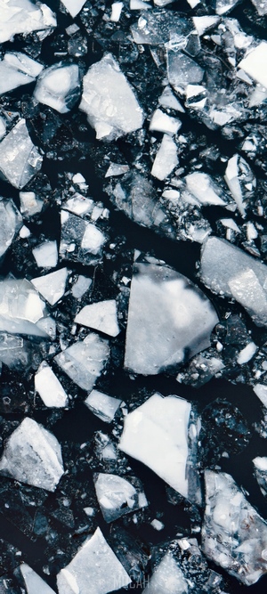 Ice floes on dark water