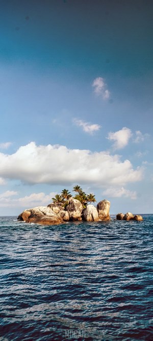 Lone island with palm trees in the ocean