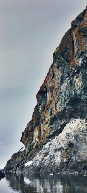 Rock face with water and birds