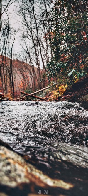 Flowing water in a forest during autumn