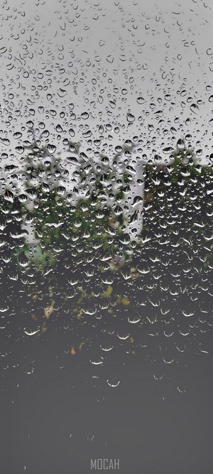 Raindrops on a window with trees and sky