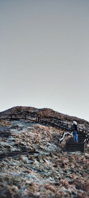 Woman climbing a grassy hill with wooden stairs