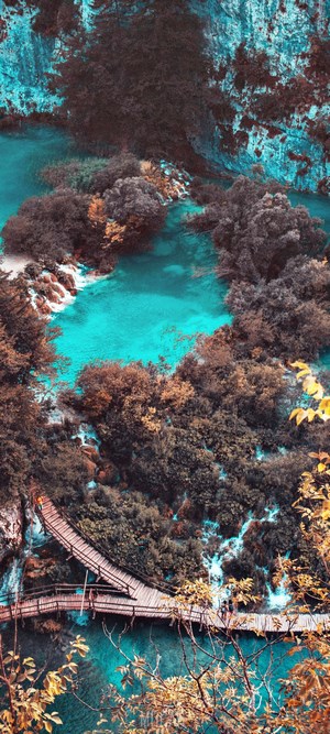 Wooden boardwalk over turquoise water and lush forest