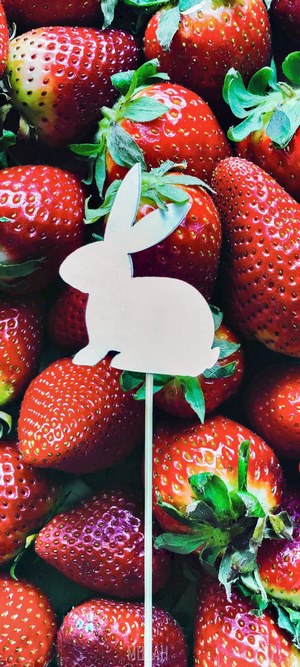 Easter Bunny decoration among strawberries