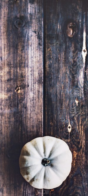 White pumpkin on a wooden table