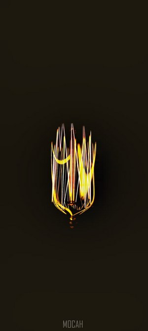 Edison light bulb filament in darkness