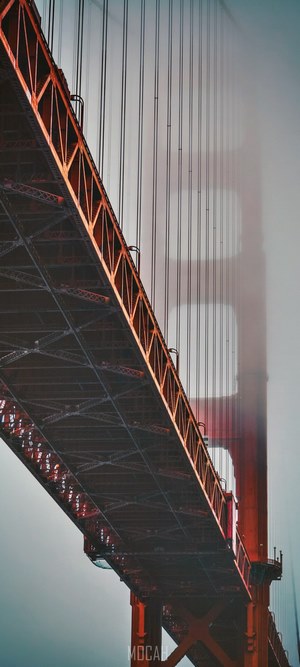 Golden Gate Bridge in fog, bottom view