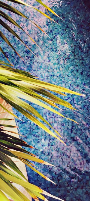 Tropical leaf over a tiled swimming pool