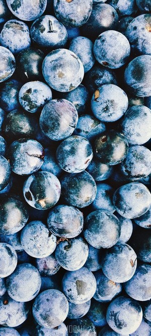 Blueberries Samsung Galaxy A71 screensaver