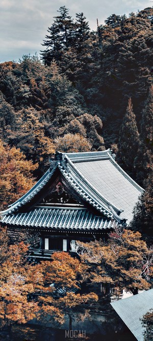 Japanese Temple Roof Amidst Autumn Trees