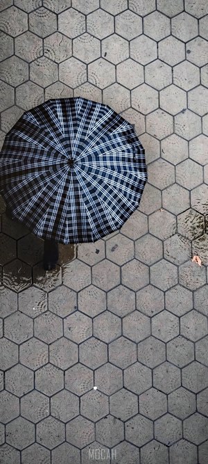 Umbrella on hexagonal pavement